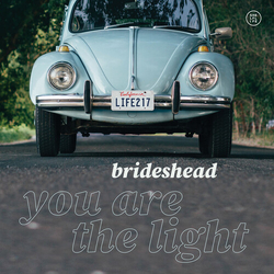 Brideshead You Are The Light VINYL LP