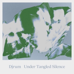 Djrum Under Tangled Silence vinyl LP