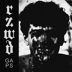 Rzwd Gaps VINYL LP