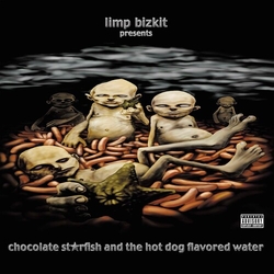 Limp Bizkit Chocolate Starfish And The Hot Dog Flavored Water VINYL LP