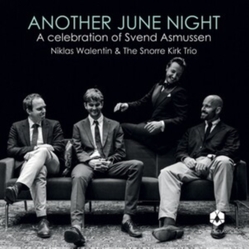 Niklas Walentin Another June Night vinyl LP