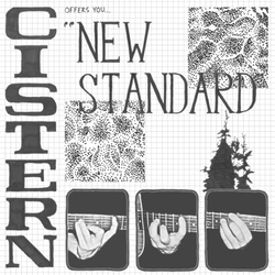 Cistern New Standard VINYL LP