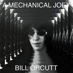 Bill Orcutt Mechanical Joey VINYL LP