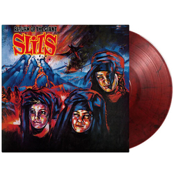 Slits Return Of The Giant Slits  VINYL LP