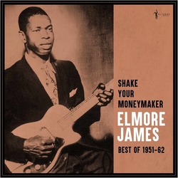 Elmore James Shake Your Moneymaker Best Of 1951-62 VINYL LP