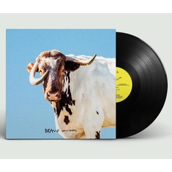 Sexy Zebras Bravo (Spa) vinyl LP