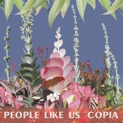 People Like Us Copia VINYL LP