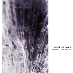 Fawns Of Love Who Cares About Tomorrow REMASTERED VINYL LP