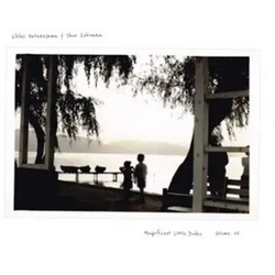 Chihei Hatakeyama Magnificent Little Dudes Vol. 2 vinyl LP