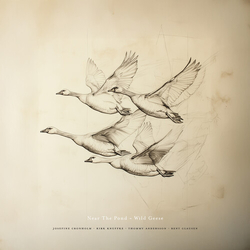 Near The Pond Wild Geese VINYL LP
