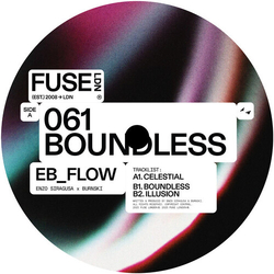 Eb_Flow Boundless VINYL 12INCH
