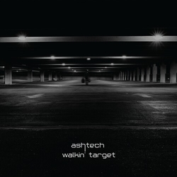Ashtech Walkin Target VINYL LP