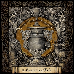 Home Team Crucible Of Life (Blk) (Colv) (Gol) vinyl LP