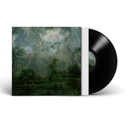 Twice A Man Coloured Breeze Is A New Dimension VINYL LP