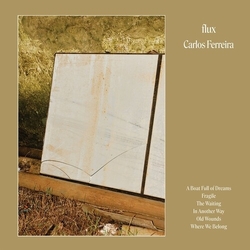 Carlos Ferreira Flux vinyl LP