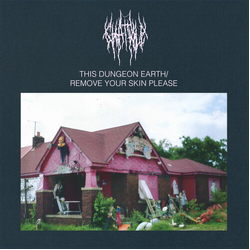 Chat Pile This Dungeon Earth Remove Your Skin Please VINYL LP