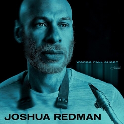Joshua Redman Words Fall Short VINYL LP