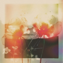 Gyrofield Akin Mother vinyl 12