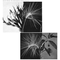 Andrew Pekler New Environments & Rhythm Studies VINYL LP