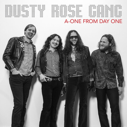 Dusty Rose Gang A-One From Day One VINYL LP