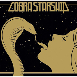 Cobra Starship While The City Sleeps We Rule The Streets vinyl LP
