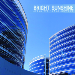 Bright Sunshine Executive Power Supreme VINYL LP