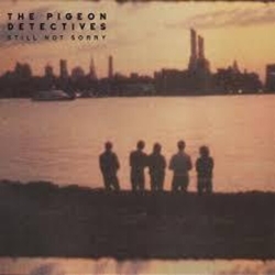 Pigeon Detectives Still Not Sorry VINYL LP