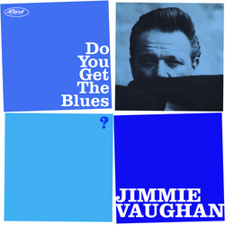 Jimmie Vaughan Do You Get The Blues VINYL LP