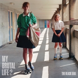Black Dog My Brutal Life 2 VINYL LP