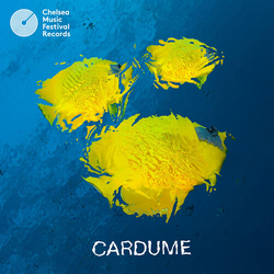 Cardume Cardume vinyl LP