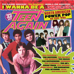 I Wanna Be A Teen Again American Power Pop 80-89 I Wanna Be A Teen Again American Power Pop 80-89 CD