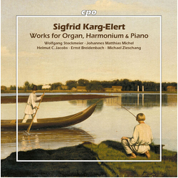 Stockmeier Michel Works For Organ Harmonium & Pno (Box) CD