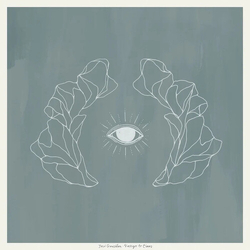 Jose Gonzalez Vestiges & Claws PINK VINYL LP