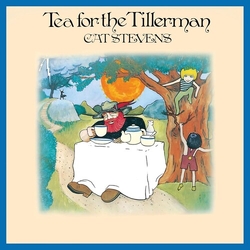 Yusuf (Stevens,Cat) Tea For The Tillerman vinyl LP