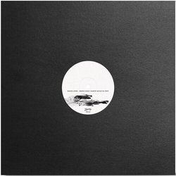 Daniel Avery Drone Logic (Harvey Mckay Re vinyl 12