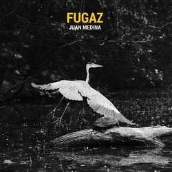 Juan Medina Fugaz VINYL LP