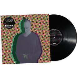 Fink Beauty In Your Wake Acoustic VINYL LP