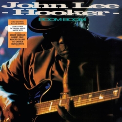 John Lee Hooker Hooker,John VINYL LP