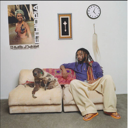 Amine 13 Months Of Sunshine PURPLE VINYL LP