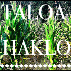 John Depriest Taloa Haklo VINYL LP