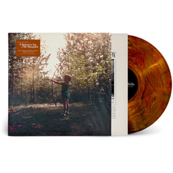 Josh Ritter Believe In You My Honeydew BROWN RED VINYL LP