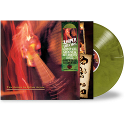 Adam Again Ten Songs By Adam Again REMASTERED VINYL LP