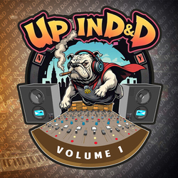 D&D All Stars Up In D&D Volume 1 VINYL LP