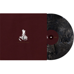 Athletics Who You Are Is Not Enough  GRAY VINYL LP