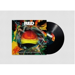Red Lorry Yellow Lorry Strange Kind Of Paradise VINYL LP