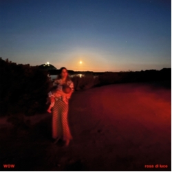 Wow Rosa Di Luce VINYL LP