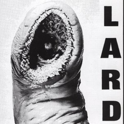Lard Power Of Lard - White WHITE VINYL LP