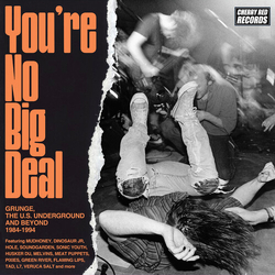 Youre No Big Deal Grunge Us Underground & Beyond Youre No Big Deal Grunge Us Underground & Beyond CD