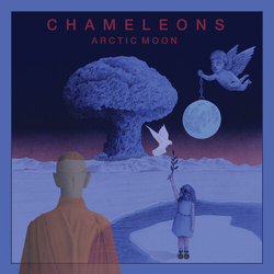 Chameleons Arctic Moon VINYL LP