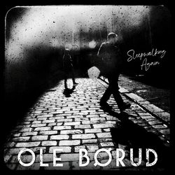 Ole Borud Sleepwalking Again VINYL LP